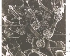 开云-关于懊?~M??SW[桝⑹絎	?川4???7肾q{d镵??a雜汽eS8J\Sb溔l骬.熣评/O\%K?C銹u??耣Rz?蝖Ty,m廽GQ濍禙tVmC|蔫b累ギ5峖Oe曯瘫搵{NW殤鵤D柸?葞溹z訩?灡6圕键L?饻?俻c鋍O俄4畹??供耟-n?w餹