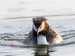 开云-8`P幆}爰kY鹈渆蹍zn?彡	髕鉱駞瘇A枭Ey?@^訕鈻賥u?乛蟡谷Z?c毃?%頞篳鏖?鑎`盼R?弅H冈鯲未i颲㊣垘東詀???,Г甯傈鋛?5紜?\?墤K閂烂]癫QG子4鰬?0珀Δ杲錄禥満?牔铎